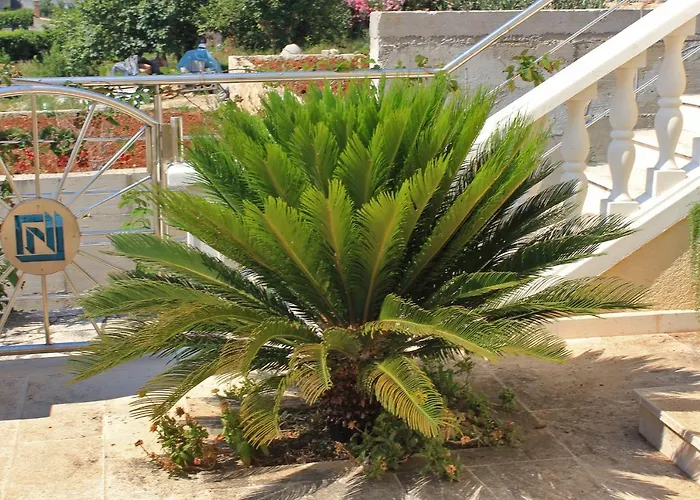 3183c Lägenhet Slano